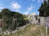 Grand terrain de la vente de notre maison d'hôte - gîte à vendre avec piscine à Perpignan (13).webp